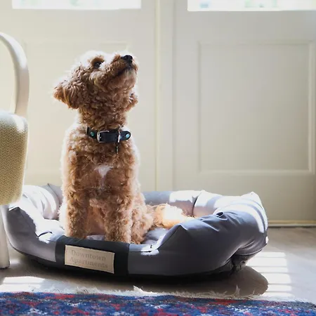 Old Town Charm & Chic By Downtown